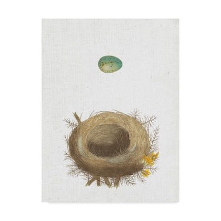 Wild Apple Portfolio 'Spring Nest I' Canvas Art,24x32